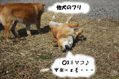 なにやってんだか
