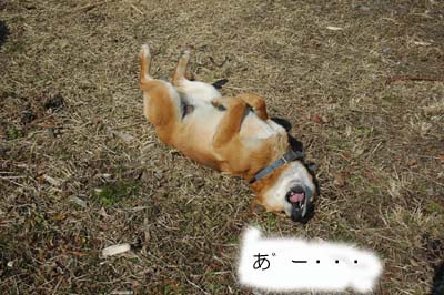 なにやってんだか