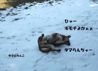 なにやってんだか