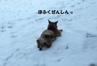 なにやってんだか