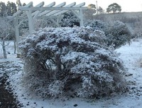 綺麗な雪景色