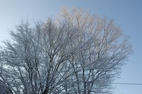綺麗な雪景色