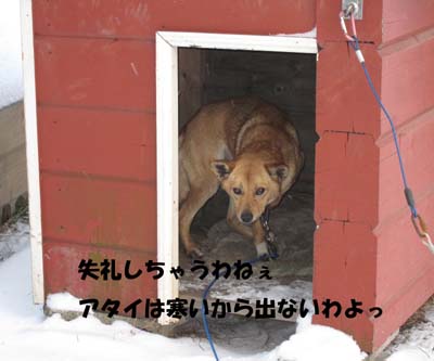 不毛地帯