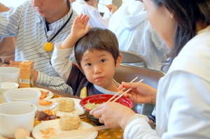 獲れたて釜揚げちりめんと地魚のりゅうきゅう丼尽くし
