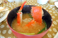 獲れたて釜揚げちりめんと地魚のりゅうきゅう丼尽くし