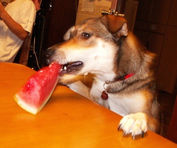 ・・・・・・