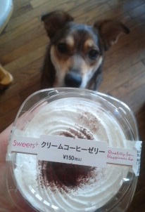 コンビニスイーツを楽しむ会