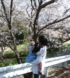 お花見