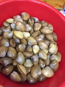 [島コン」in姫島