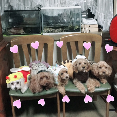 よろしくお願いします~♪ よろしくお願いします~♪