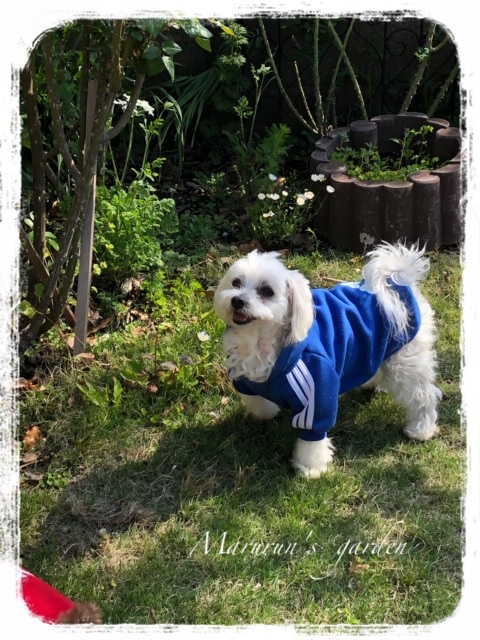 ルーニャン♪
