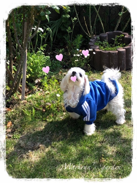 ルーニャン♪