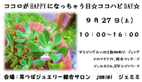 ☆ココハピDAY☆