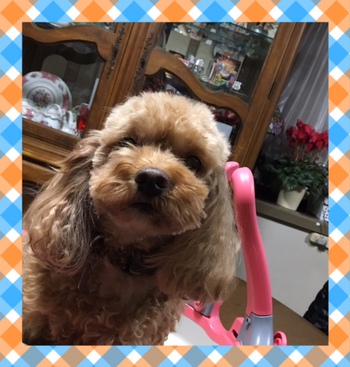 初カット♪ 初カット♪