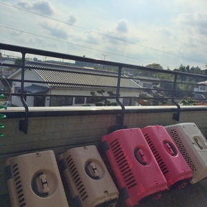 ペット関係~♪ ペット関係~♪