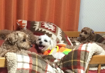 会話♪