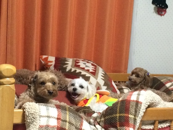 会話♪