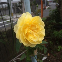 朝晩涼しくなってきましたね＾＾