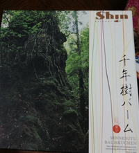 千年樹バーム♪