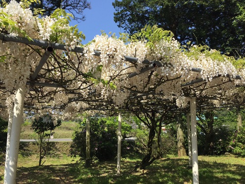 西寒田神社♪