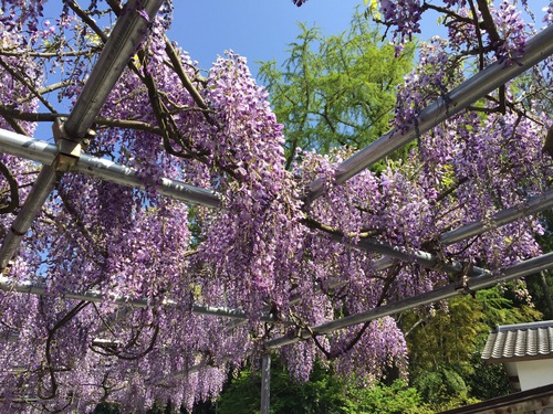 西寒田神社♪