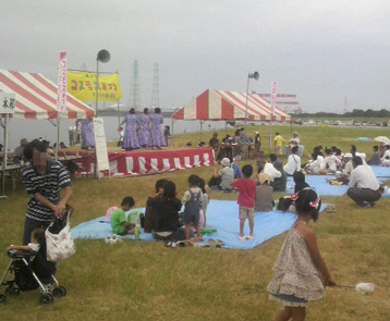 コスモス祭り