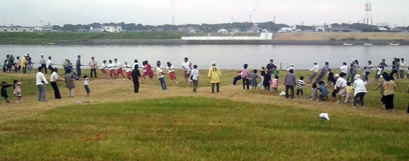 コスモス祭り