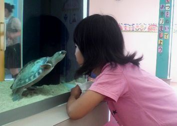 かぜひきさん