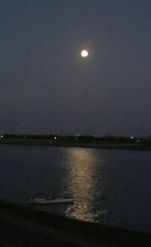 夕食