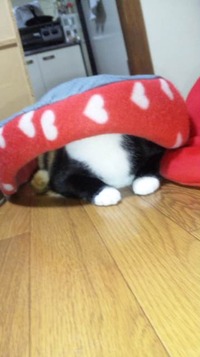 てれれてってってー