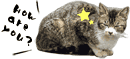 ぺんぎん