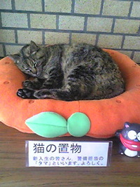 猫の置物