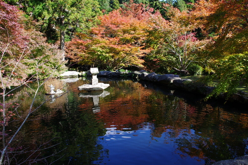 両子寺の紅葉と・・・