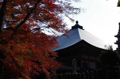 両子寺の紅葉と・・・