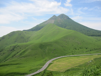 鹿さんの家族に遭遇
