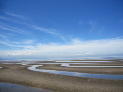 夏だ、海だ、花火だ、階段だ