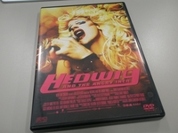 HEDWIG AND THE ANGRY INCH