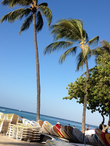 ・・・Hawaii編　その２ｗ