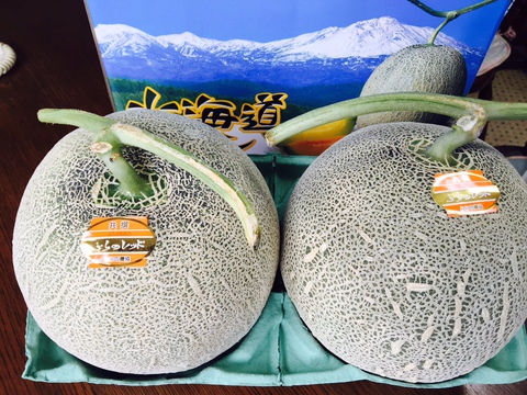 『富良野メロンパフェ』☆彡 『富良野メロンパフェ』☆彡