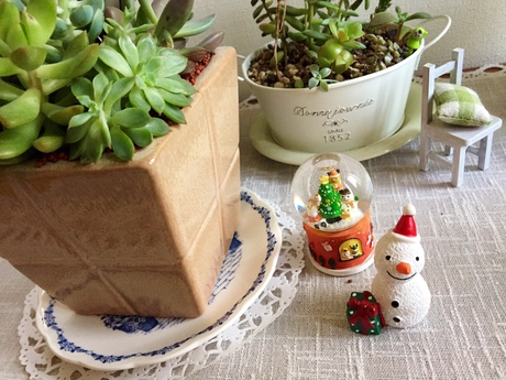 お昼ご飯♬。。。と「ちょっぴりXmas」☆彡 お昼ご飯♬。。。と「ちょっぴりXmas」☆彡
