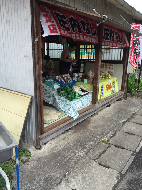 『庄内なし』＠半澤梨園