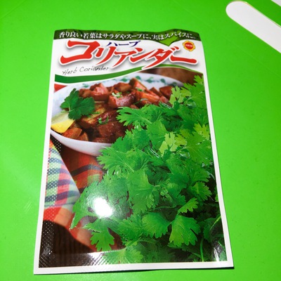 さっぱりヘルシー♬ベトナム料理『フォー』