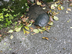 素敵な場所・・・見つけた♪