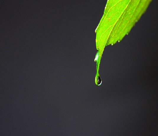 梅雨の中休み^^