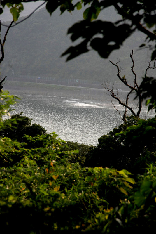 続・宮崎の旅(鵜戸神宮編)