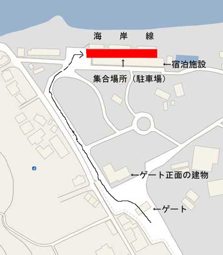 夏を楽しもう~企画!