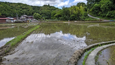 田植え終了(^O^)／