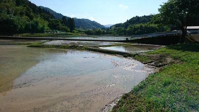 田植え終了