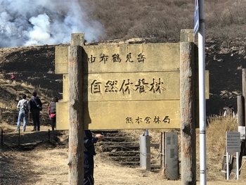 3月17日の記事