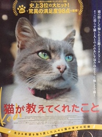 猫が教えてくれたこと